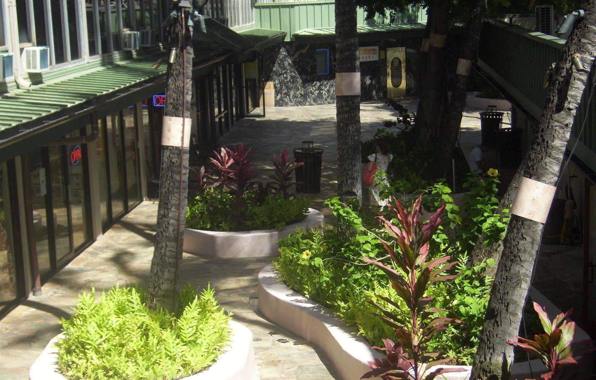 Kuhio Banyan Hotel Honolulu Eksteriør billede